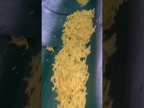 Băng tải mì, nui