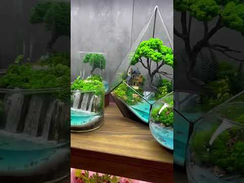 Флорариум "Природа", 10 см. - фото 1 - id-p2004657384