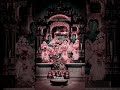 Meri Vinti Yahi Hai Radha Rani Status L Radhe Krishna Whatsapp Status L Radhe Rani Status Shorts