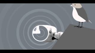 Panasonic Smart Home Camera – Monitor your pride and joy