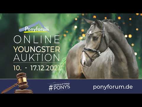 TALLULUAS TONI 2j. Stute v. Carnuet / Wildzangs Romulus