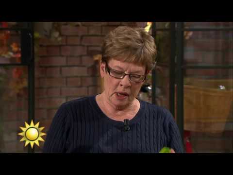 Trissvinnaren har lyckonummer 10 - Nyhetsmorgon (TV4)