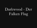 Darkwood - Der Falken Flug 
