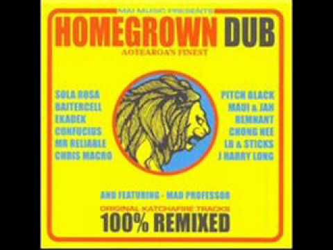 Roots Music Remix - baitercell and huia