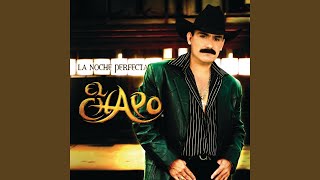 Una Rosa Y Un Beso Lyrics English Translation
