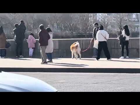 Life & Times of Philip A. Lujan | Paris, France 🇫🇷  | Feb 17, 2024 @ 1202pm | Eiffel Tower |