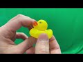 Ducky Shark