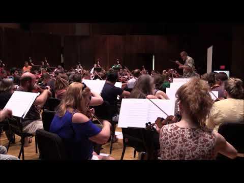 L’Improviste Vignette (Michael Kamuf, Grade 2 #46685)