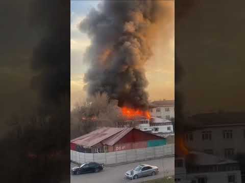 Қыздың қызықты жамбастары