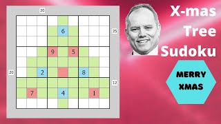 A Beautifully Decorated Tree