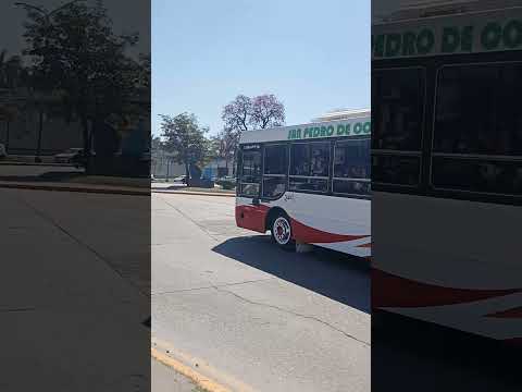 Empresa San Pedro de Colalao coche 45, Saludos para el chófer por su buena onda 👍, Tucumán