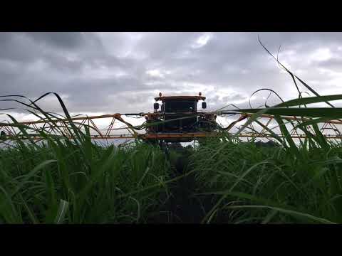 Hagie STS12 Sprayer demo in sugar cane field  | John Deere