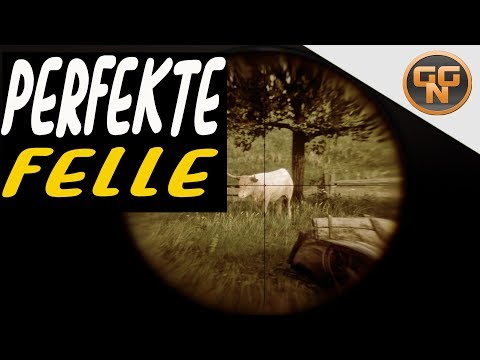 Red Dead Redemption 2 Guide: Jagdguide Perfekte Felle - So werdet Ihr zum perfekten Jäger