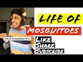 Life Of Mosquitoes Abhijeet Kain Shorts By Abhijeet Kain Abhijeet Kain