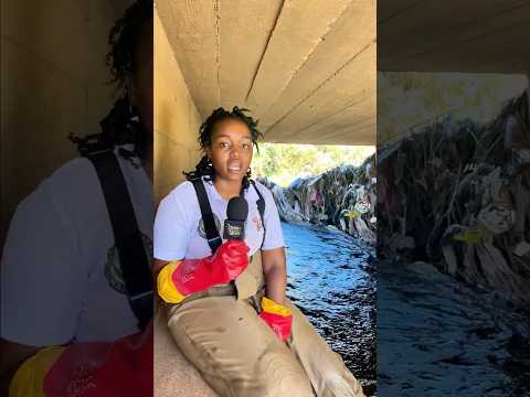 River Clean-Up