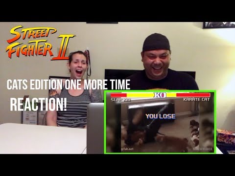 Street Fighter: Cats Edition (one more time) - Marca Blanca - REACTION!!