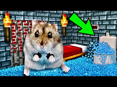 🐹🧨MINECRAFT Hamster Maze with Traps 😱[OBSTACLE COURSE]😱