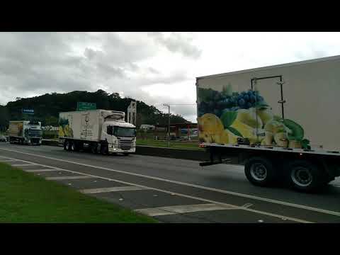 Comboio da Paulisul passando namoral