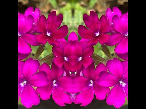 Aufstiegsenergieen zum 09.09.23