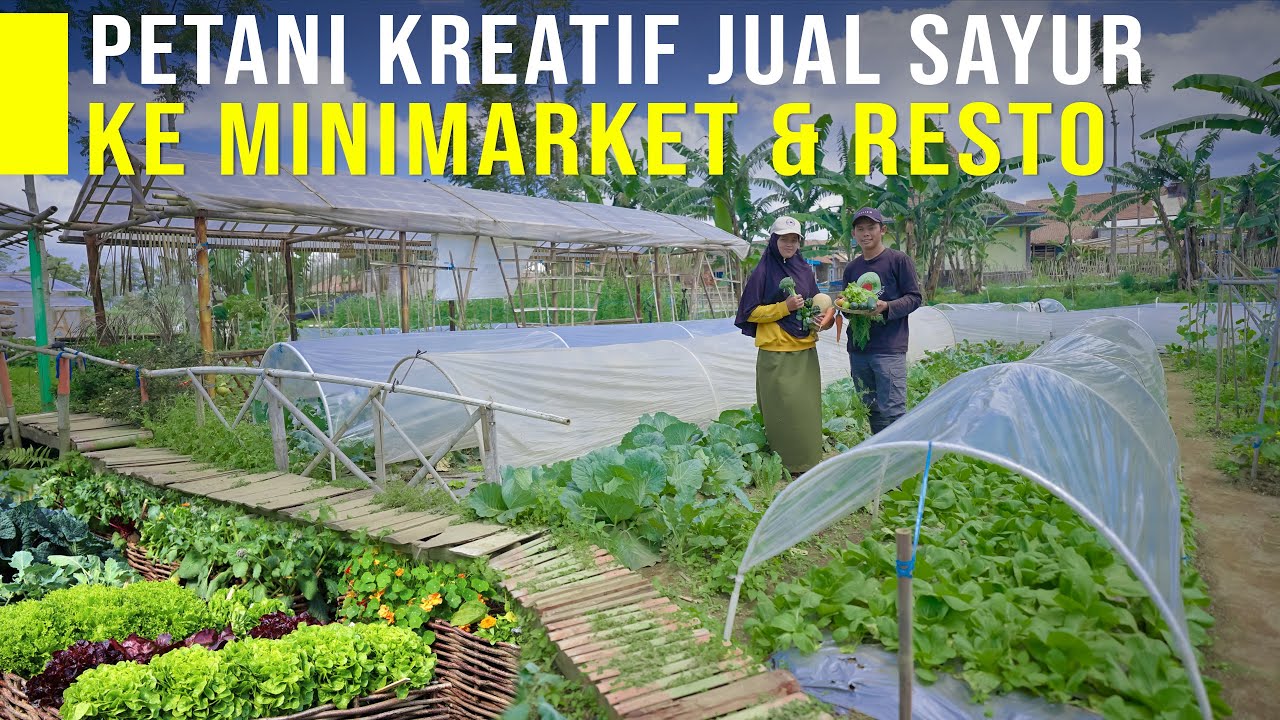 Lulusan Pesantren Ubah Pertanian Konvensional 