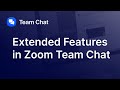 Zoom Chat Reactions Emojis Extended Features