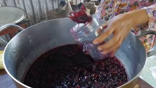 Làm Sirô Atiso đỏ tại nhà ngon