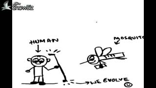 Evolution theory animated : Why humans didnot develop immunity against mosquito bites