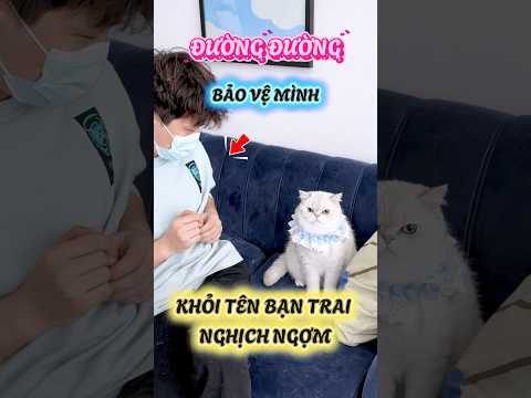 Đường Đường bảo vệ mình khỏi tên bạn trai nghịch ngợm #viral #viralreelsシ #viralvideos #viralshort