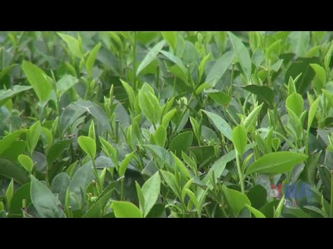 Circular agriculture linked with rural experiential tourism