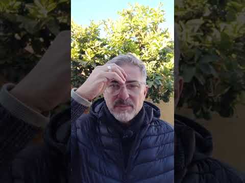 Evangelio del Nuestro Señor Jesucristo Con el Padre Fabian Esteban Oliva. 22/05/26