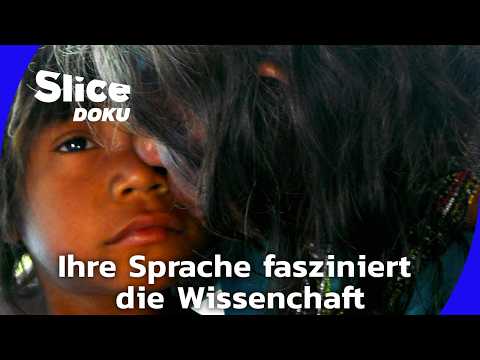 Pirahã: Die Sprache ohne Zahlen und Farben | Slice Doku