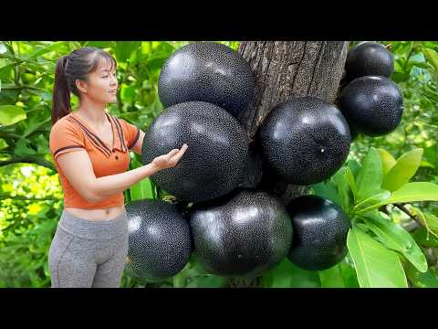 Harvesting Many Jackfruit ( Mít Mít ) Goes To The Market Sell, Farm Life - Harvest Fruit