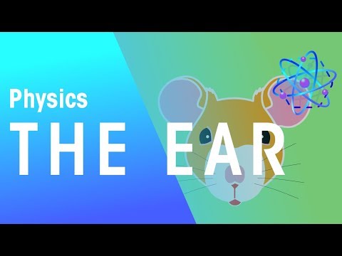 The Ear | Waves | Physics | FuseSchool