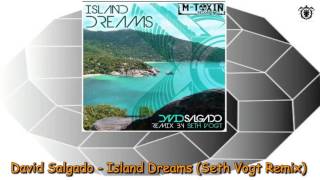 David Salgado - Island Dreams (Seth Vogt Remix) ~ M Toxin Recordings 2014