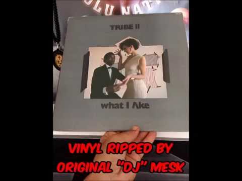 TRIBE II - What I Like 12"  French Dub In 1982