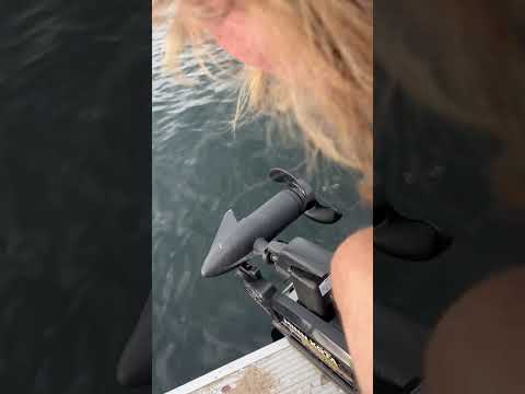 Minn Kota - I have a Minnkota power drive trolling motor very hard to get in and out of...