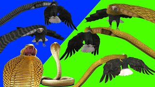 Download lagu Nagin 6 New snake in green screen.Nagin 6 snake green screen.#nagin #nagin6 #bani #bella #bani #naag mp3