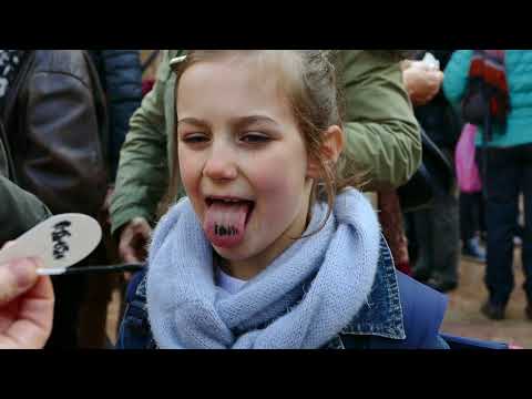 Sur le bout de la langue / les Souffleurs / Sirènes et midi net décembre 2017