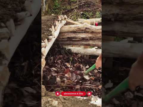 Problemlaub kompostieren: Der 1:1:1-Mix für Eiche, Walnuss & Co.