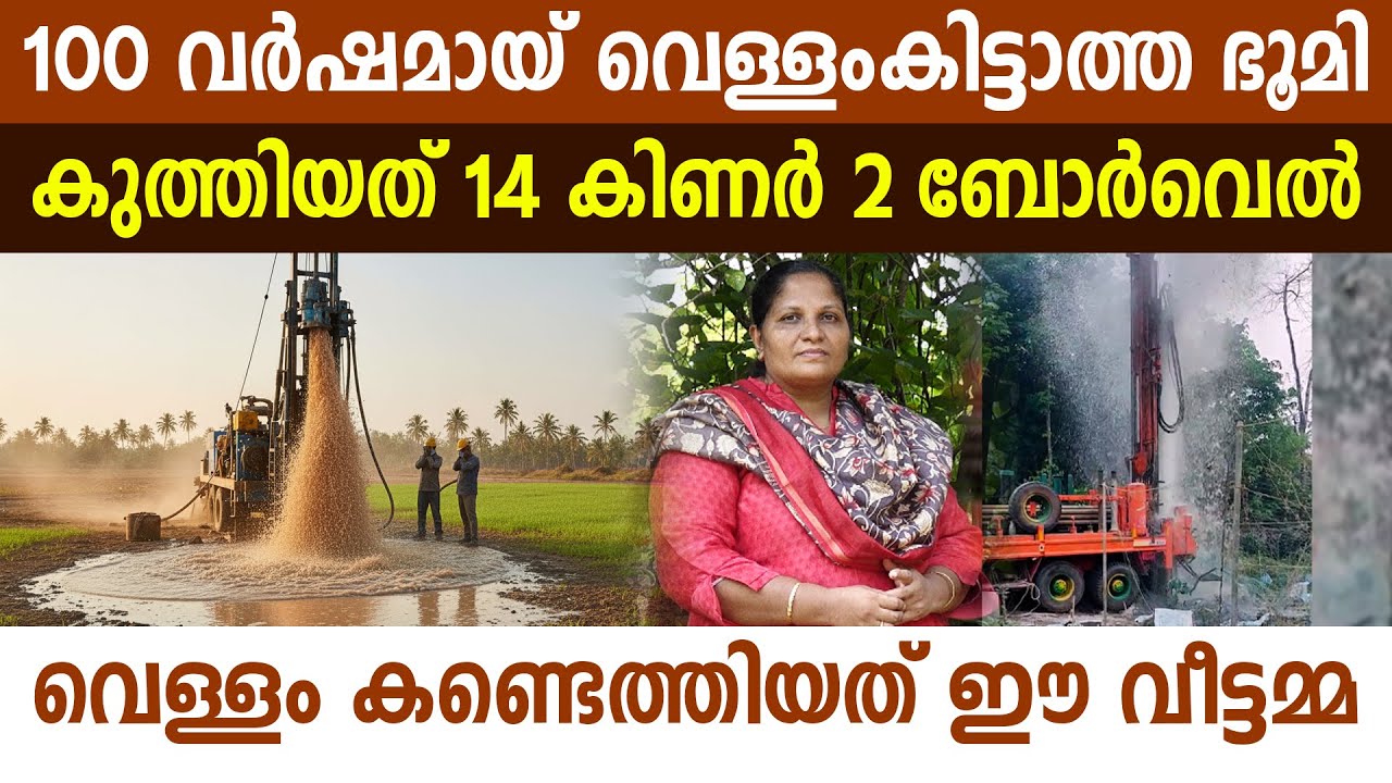 Final Survey Results