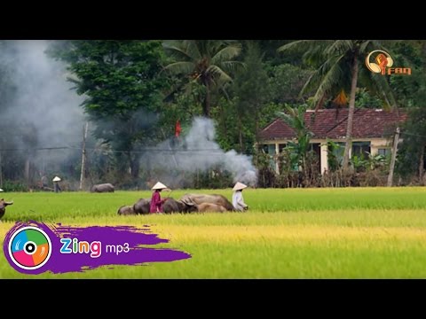 Tịnh Long quê tôi Sheet - Bảo Yến