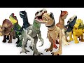 GIANT Jurassic World Dino Trackers Collection: Biggest to Smallest | T-Rex, Indominus Rex, and More!