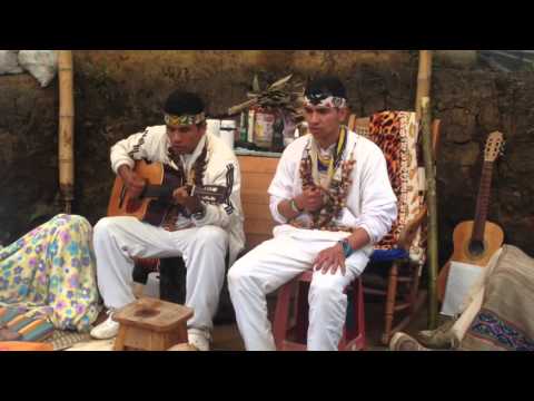 Taita Henrry Muchavisoy - Musica medicina