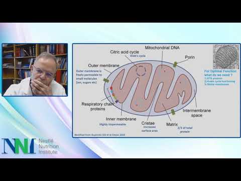 The Role of Nutrition Care In Mitochondrial Health - ASPEN 2021