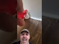 Caulk Your Toilets Plumber Handyman Tools