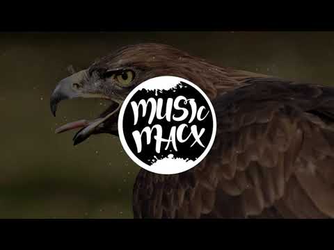 You Should Know - Sven Karlsson