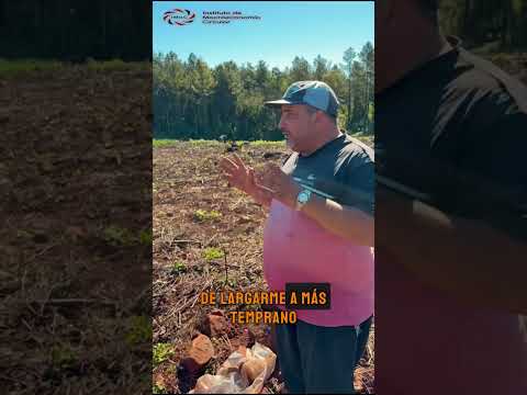 🌾 Sembrar esperanza: el trabajo en la chacra que alimenta a Misiones 💪🌱
