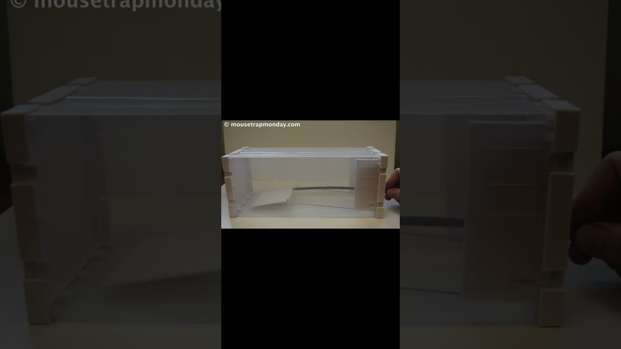 Watch video This Plastic Box Rat Trap Works! Huge Rat Caught. Now This Plastic Box Rat Trap Works! Huge Rat Caught.