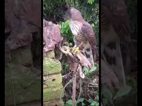 Esta canción se llama “El Secreto - Yung Dupe” 🤫 la encuentras en mi canal! Suscríbete!💚🧪💚