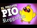 Reggaeton El Pollito Pio 
